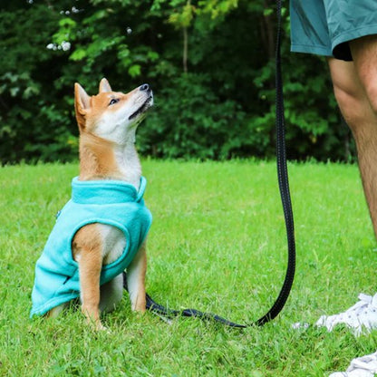 Manteau chien | Polaire Douillet