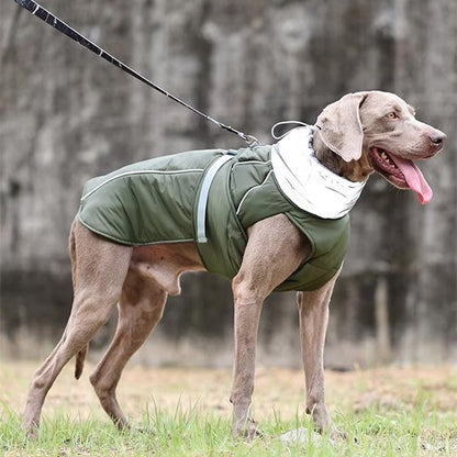 Manteau pour chien | Imperméable Élégant