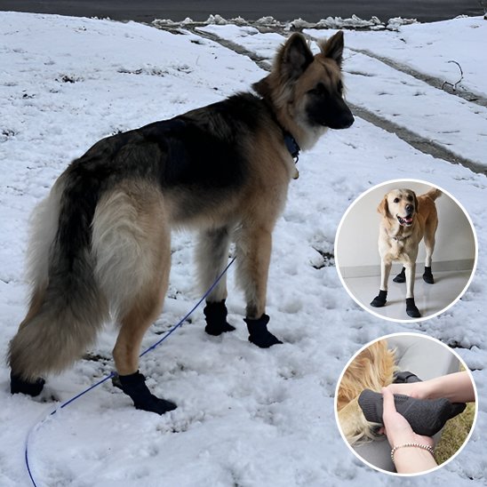 Chaussures chien | Imperméables antidérapantes