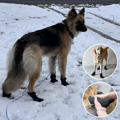 Chaussures chien | Imperméables antidérapantes