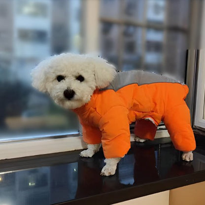 Manteau chien | Imperméable 4 pattes