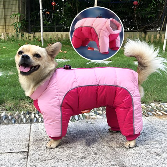 Manteau pour chien | 4Pattes Intégral