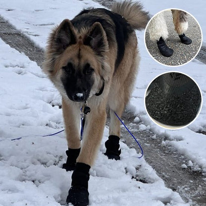 Chaussures chien | Imperméables antidérapantes