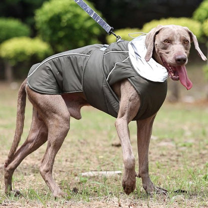 Manteau pour chien | Imperméable Élégant