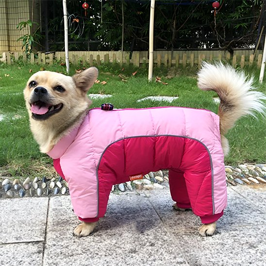 Manteau pour chien | 4Pattes Intégral