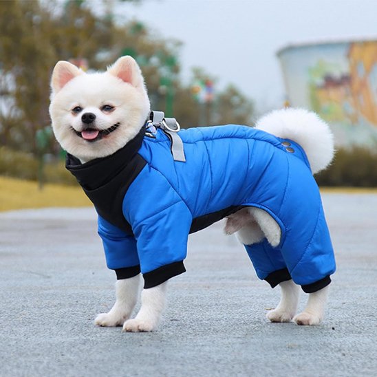 Manteau chien 4 pattes | Imperméable & Isolant