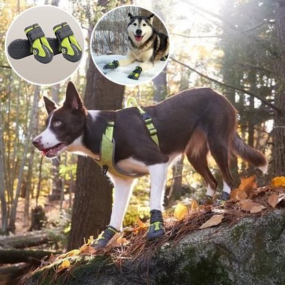 Chaussures Chien | Imperméables Toutes Saisons