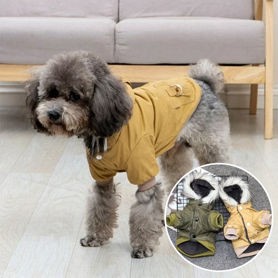 Manteau pour chien | Style Militaire