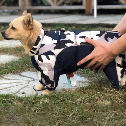 Manteau pour chien | 4Pattes Intégral