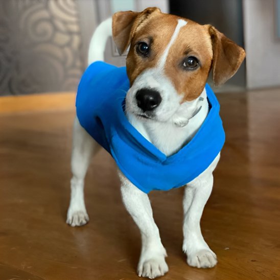 Manteau chien | Polaire Douillet
