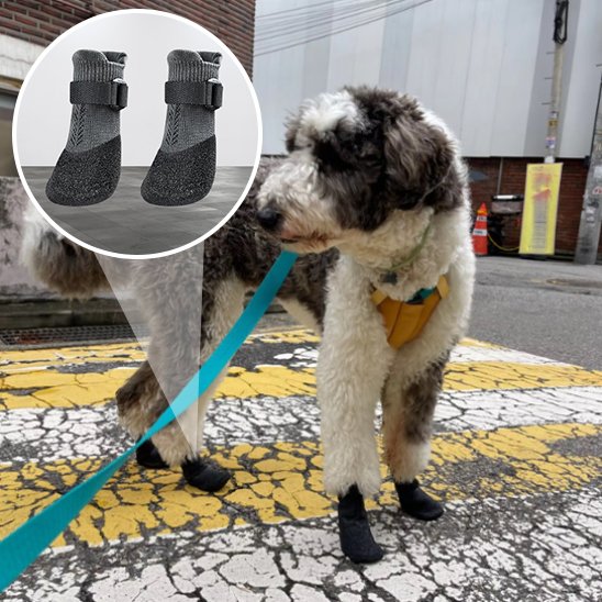 Chaussures chien | Imperméables antidérapantes