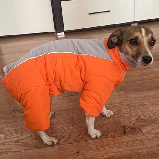 Manteau chien | Imperméable 4 pattes