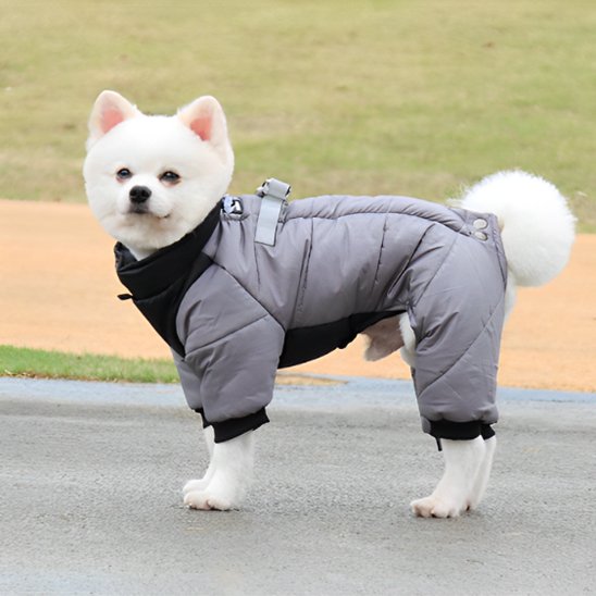 Manteau chien 4 pattes | Imperméable & Isolant