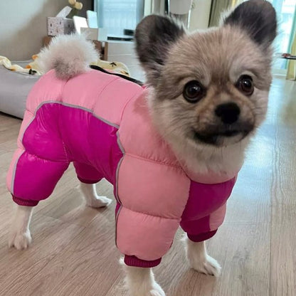Manteau pour chien | 4Pattes Intégral
