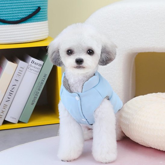 Manteau chien | Protectiwarm