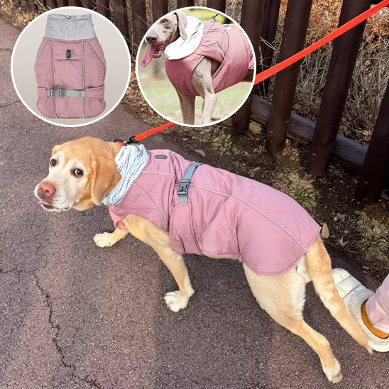 Manteau pour chien | Imperméable Élégant