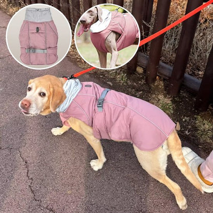 Manteau pour chien | Imperméable Élégant