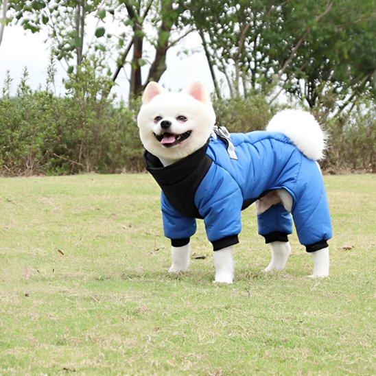 Manteau chien 4 pattes | Imperméable & Isolant