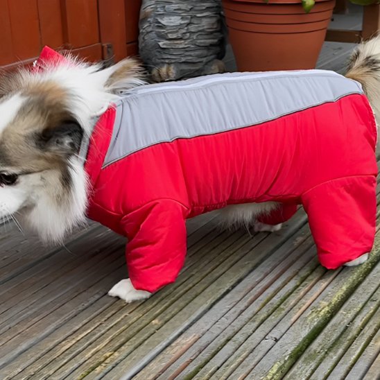 Manteau chien | Imperméable 4 pattes