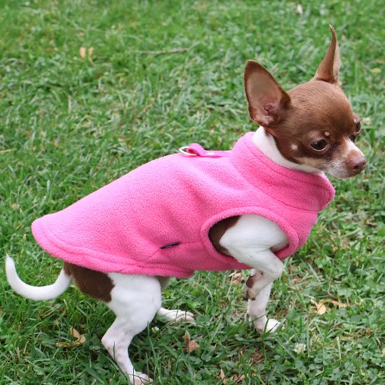 Manteau chien | Polaire Douillet