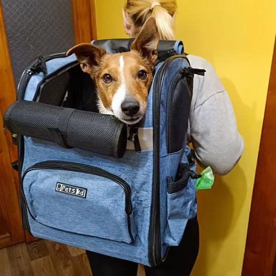 Sac à Dos Premium pour Chien